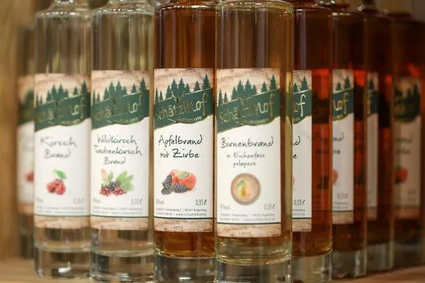 Schaetzlhof Ohg فندق 3*